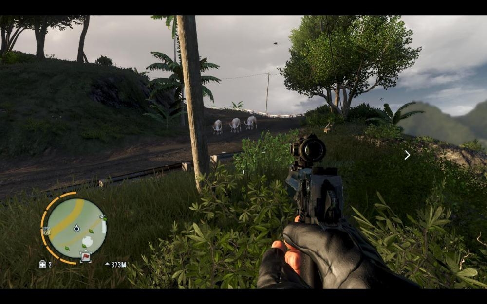 Скриншот из игры Far Cry 3 под номером 208
