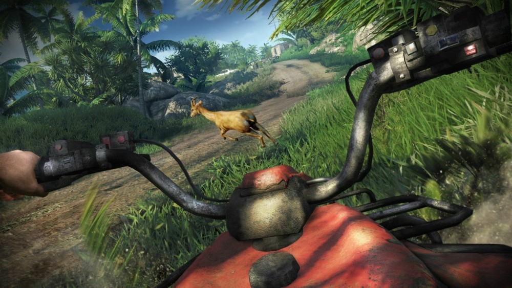 Скриншот из игры Far Cry 3 под номером 50