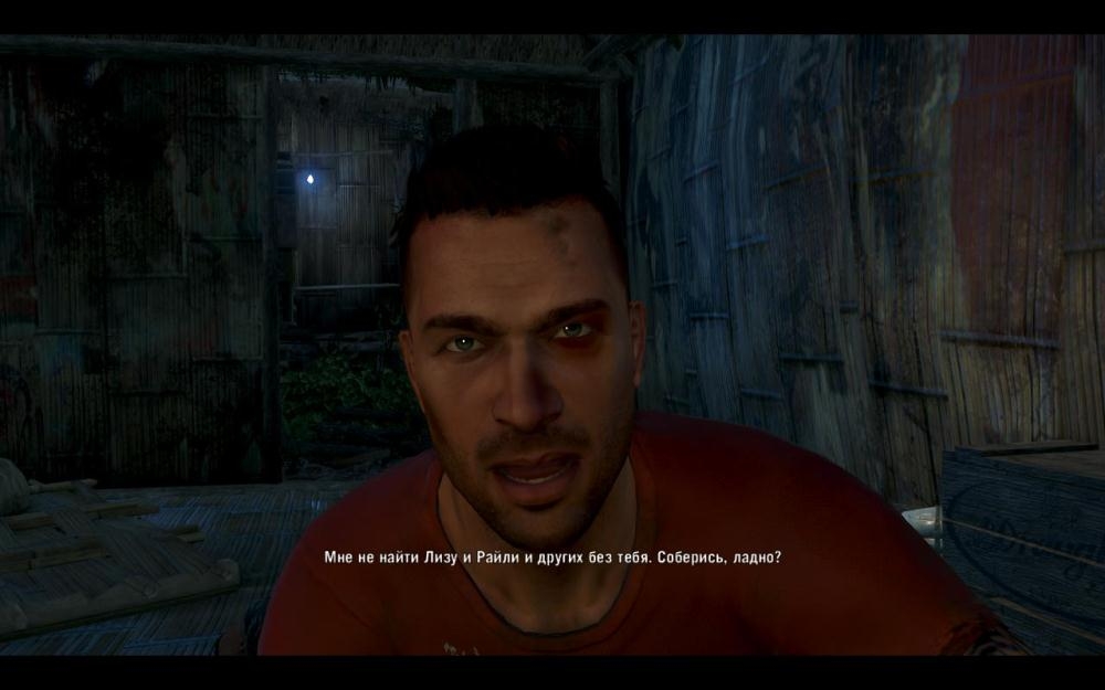 Скриншот из игры Far Cry 3 под номером 62