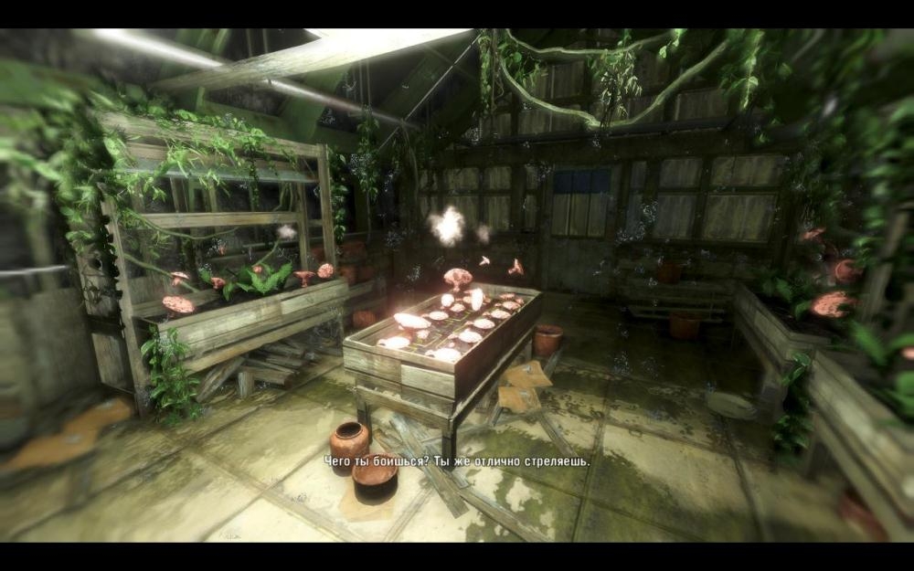 Скриншот из игры Far Cry 3 под номером 91