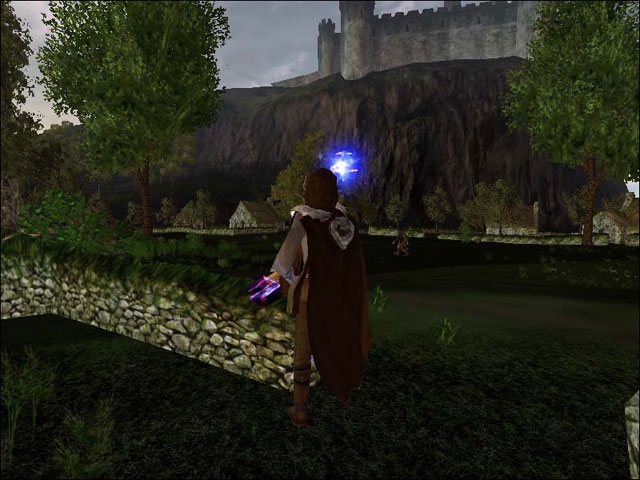 Скриншот из игры Heart of Eternity под номером 15
