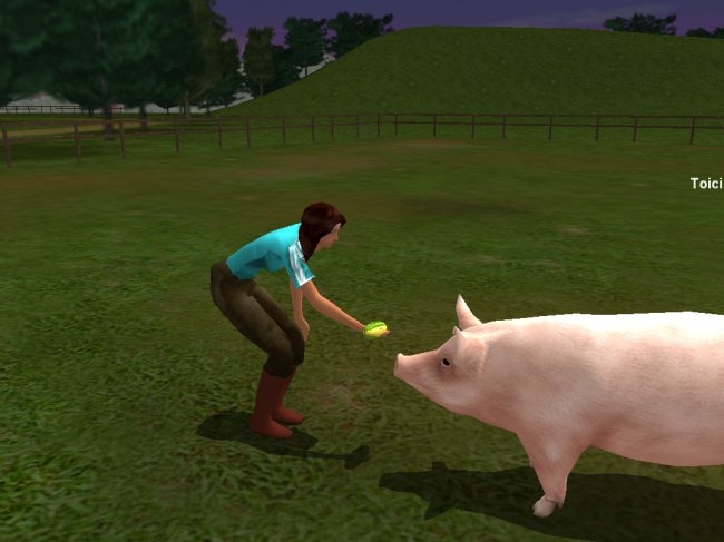Скриншот из игры Farm Vet под номером 2