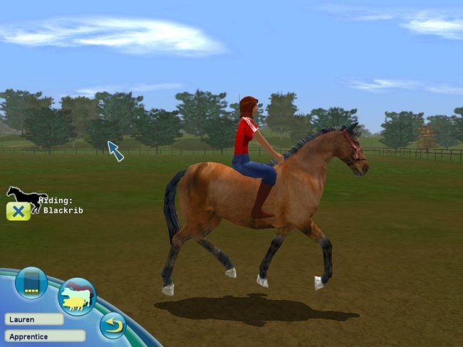 Скриншот из игры Farm Vet под номером 4
