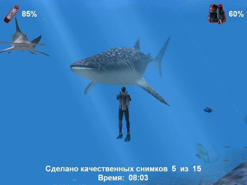Скриншот из игры Дайвер. Тайны подводного мира под номером 4