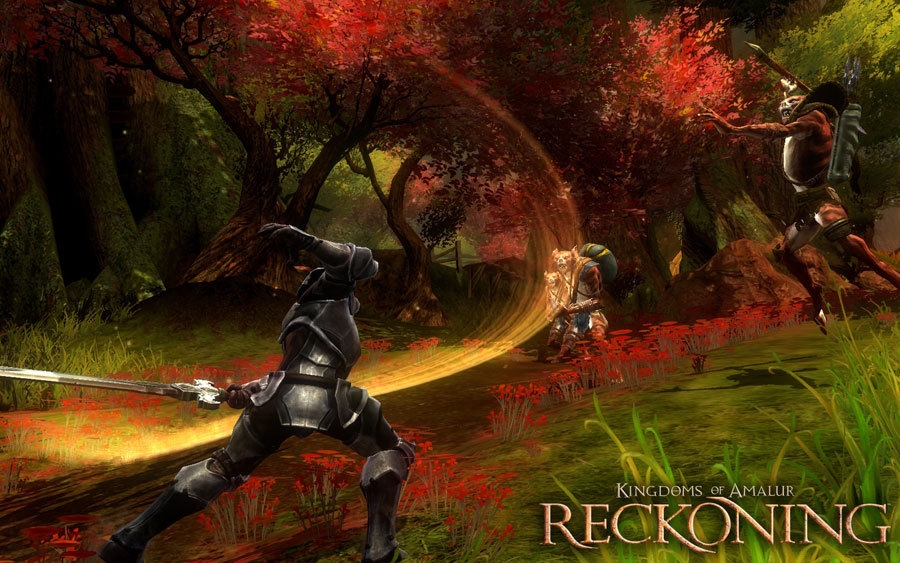 Скриншот из игры Kingdoms of Amalur: Reckoning под номером 5