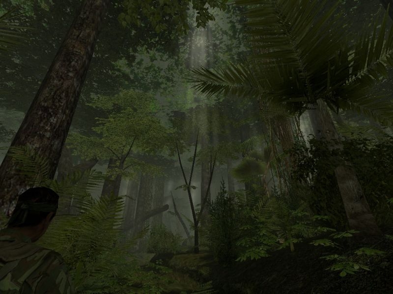 Скриншот из игры Vietcong под номером 18