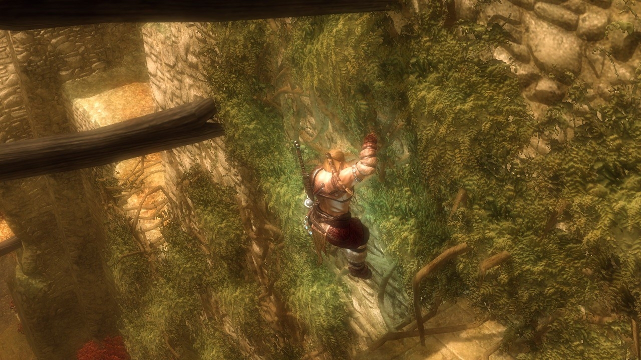 Скриншот из игры Viking: Battle for Asgard под номером 8