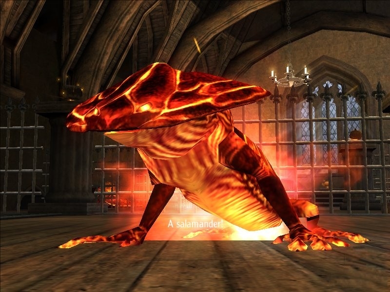 Скриншот из игры Harry Potter and the Goblet of Fire под номером 39