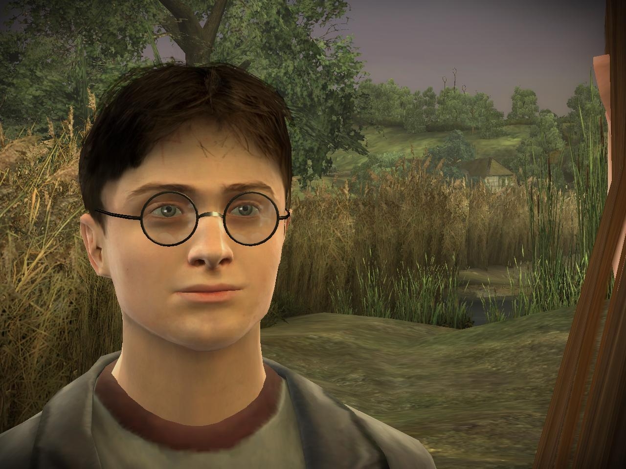 Скриншот из игры Harry Potter and the Half-Blood Prince под номером 40
