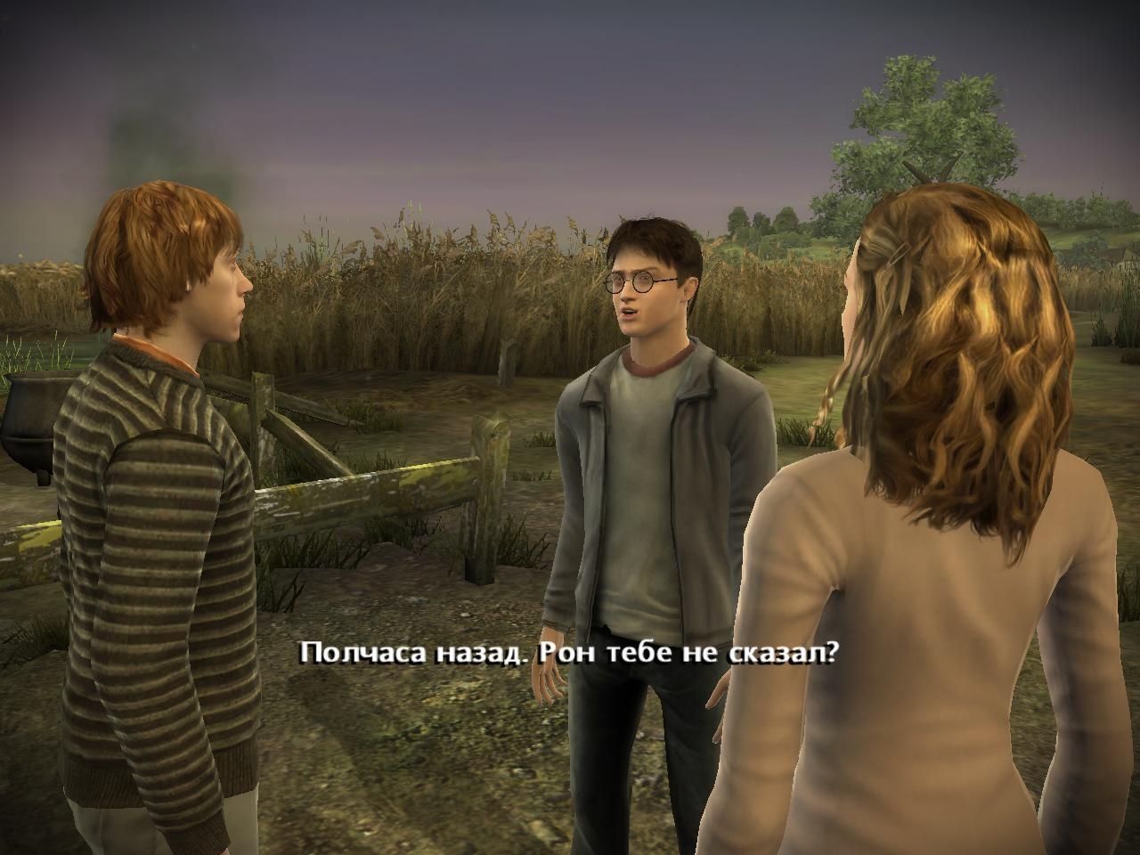 Скриншот из игры Harry Potter and the Half-Blood Prince под номером 43