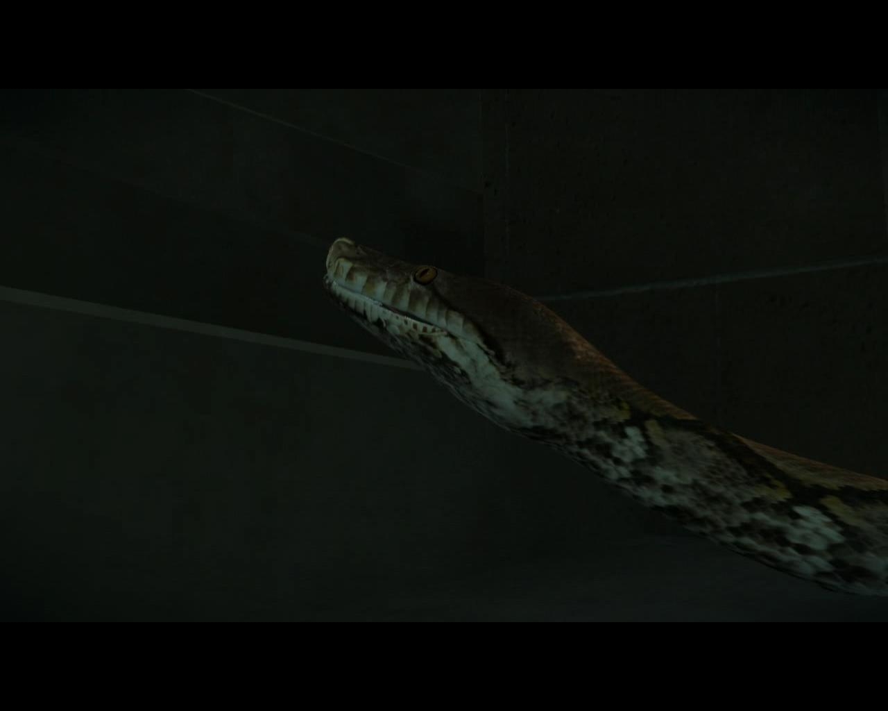 Скриншот из игры Harry Potter and the Deathly Hallows: Part 2 под номером 21