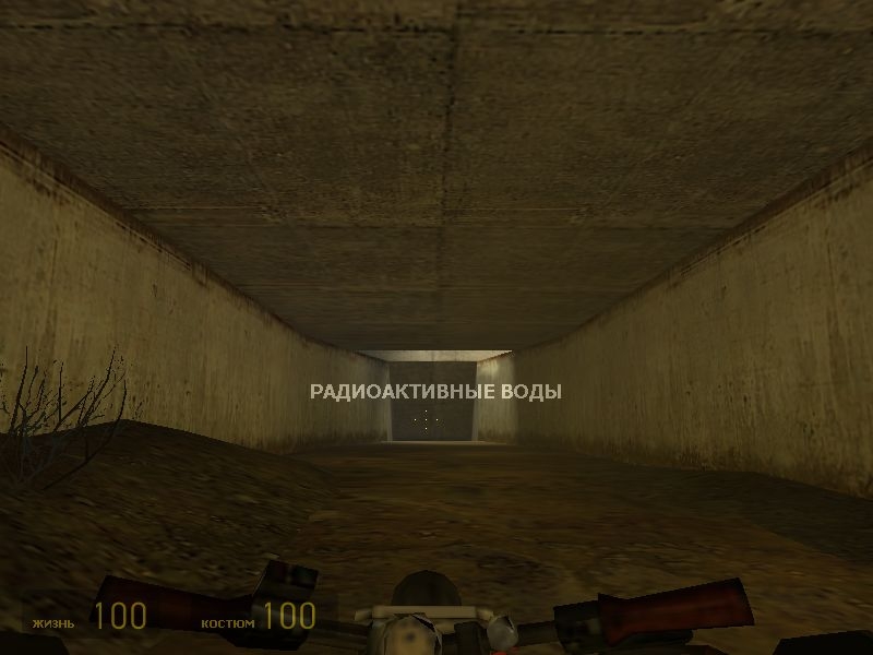 Скриншот из игры Half-Life 2: The Orange Box под номером 22