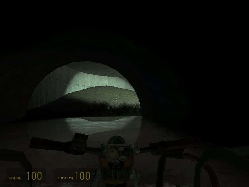 Скриншот из игры Half-Life 2: The Orange Box под номером 54