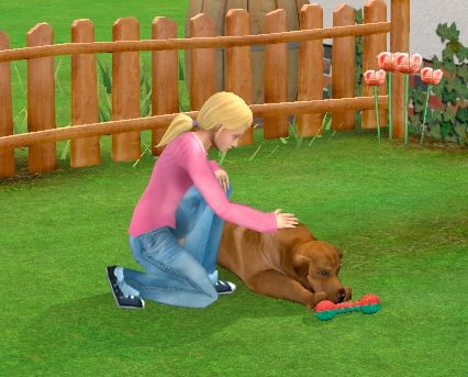 Скриншот из игры Happy Tails: Animal Shelter под номером 4
