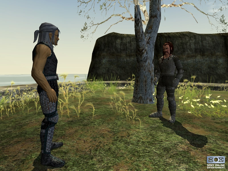 Скриншот из игры EverQuest 2 под номером 23