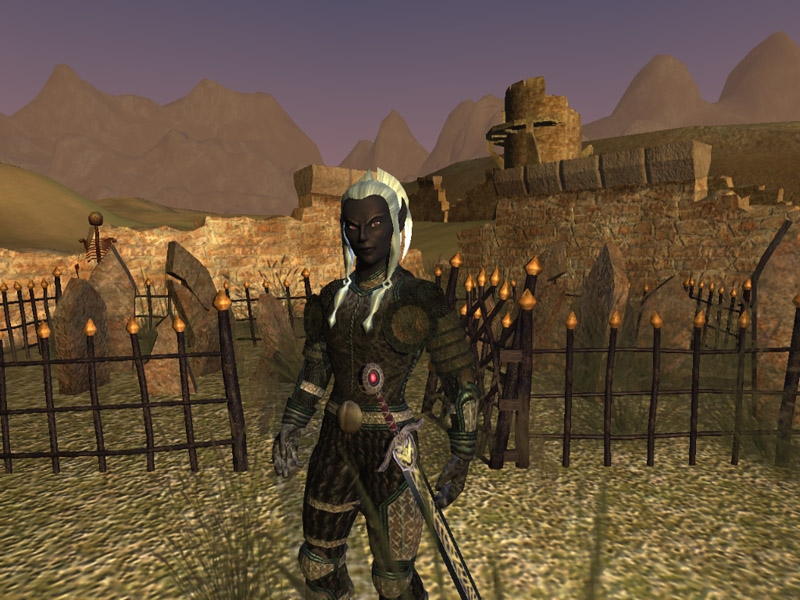 Скриншот из игры EverQuest 2 под номером 50