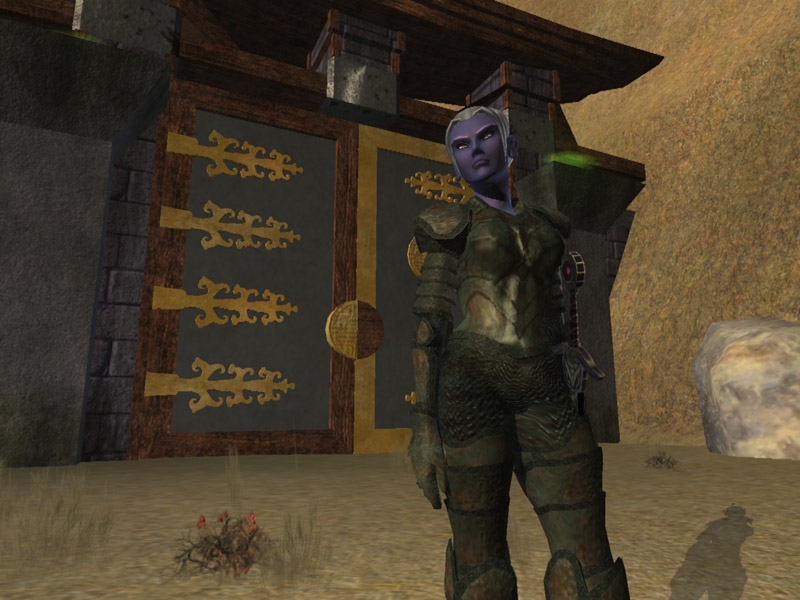Скриншот из игры EverQuest 2 под номером 52