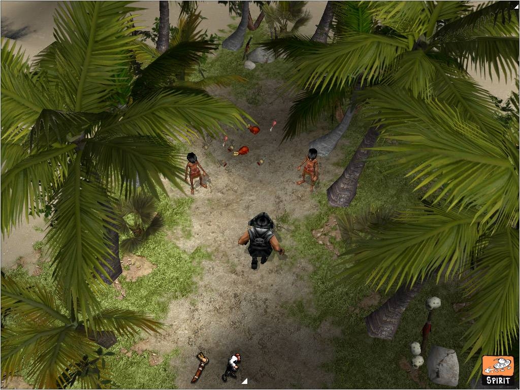 Скриншот из игры Voodoo Islands под номером 17