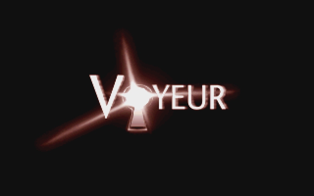 Скриншот из игры Voyeur: Don