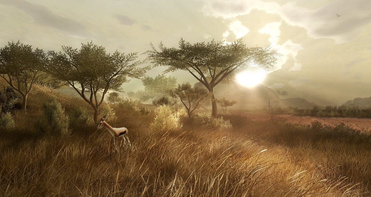 Скриншот из игры Far Cry 2 под номером 20