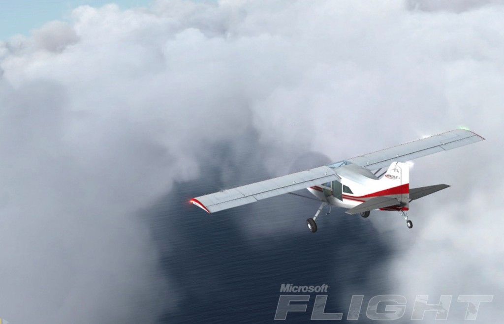 Скриншот из игры Microsoft Flight под номером 21