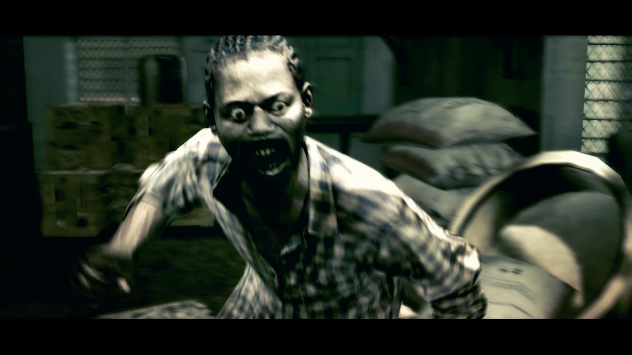 Скриншот из игры Resident Evil 5 под номером 194