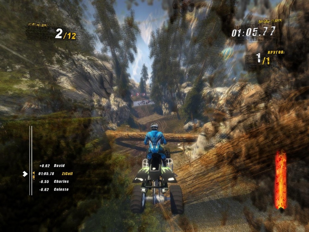 Скриншот из игры Nail