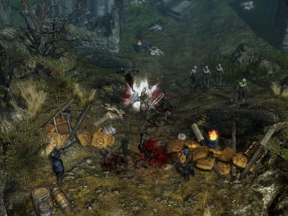Скриншот из игры Grim Dawn под номером 23