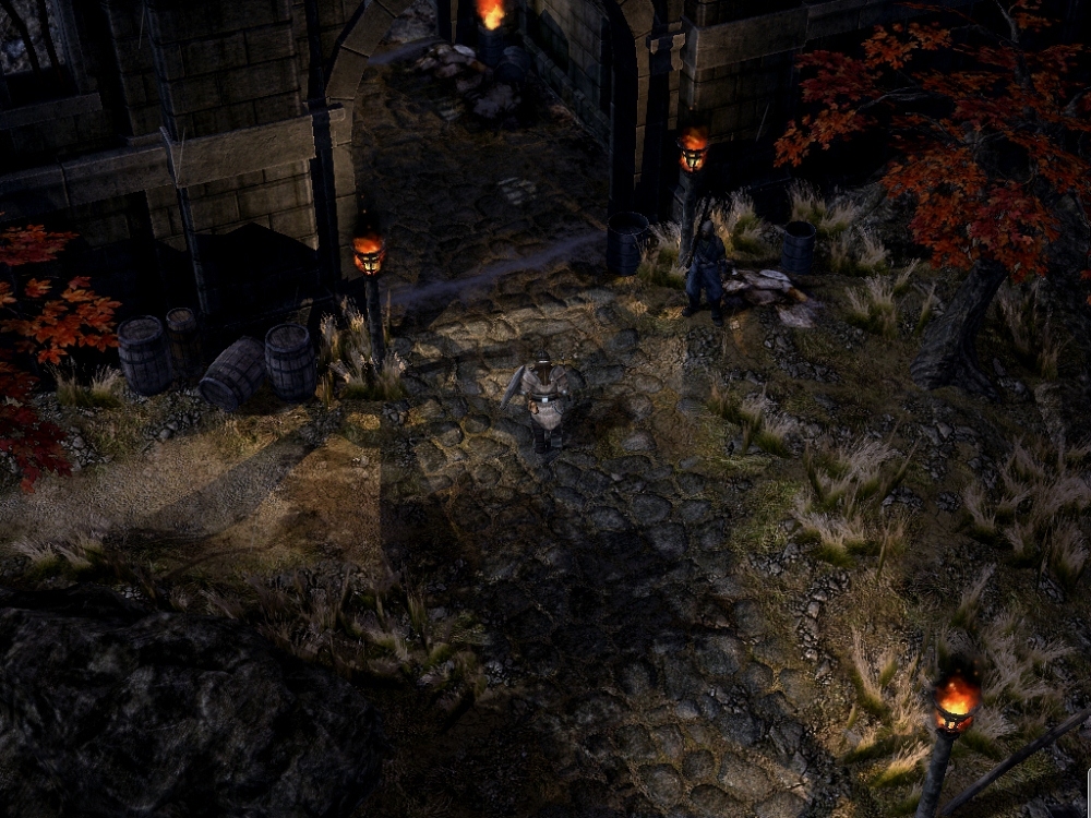 Скриншот из игры Grim Dawn под номером 29