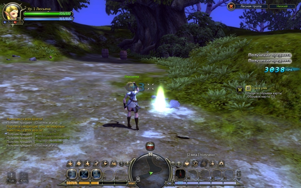 Скриншот из игры Dragon Nest под номером 78