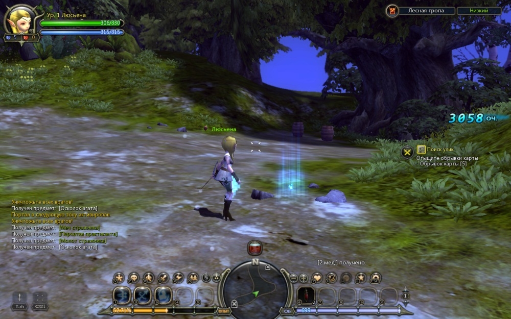 Скриншот из игры Dragon Nest под номером 79