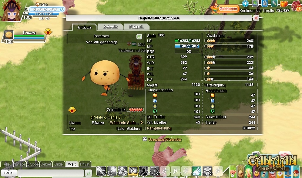 Скриншот из игры Canaan Online под номером 16