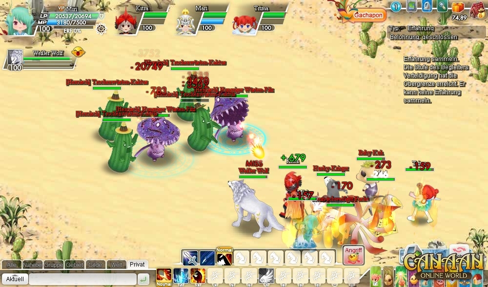 Скриншот из игры Canaan Online под номером 2
