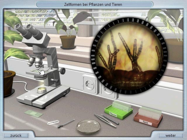 Скриншот из игры Genius: Task Force Biologie под номером 9