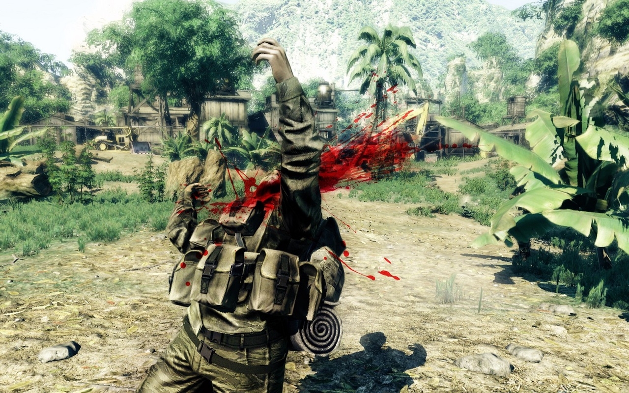 Скриншот из игры Sniper: Ghost Warrior под номером 10