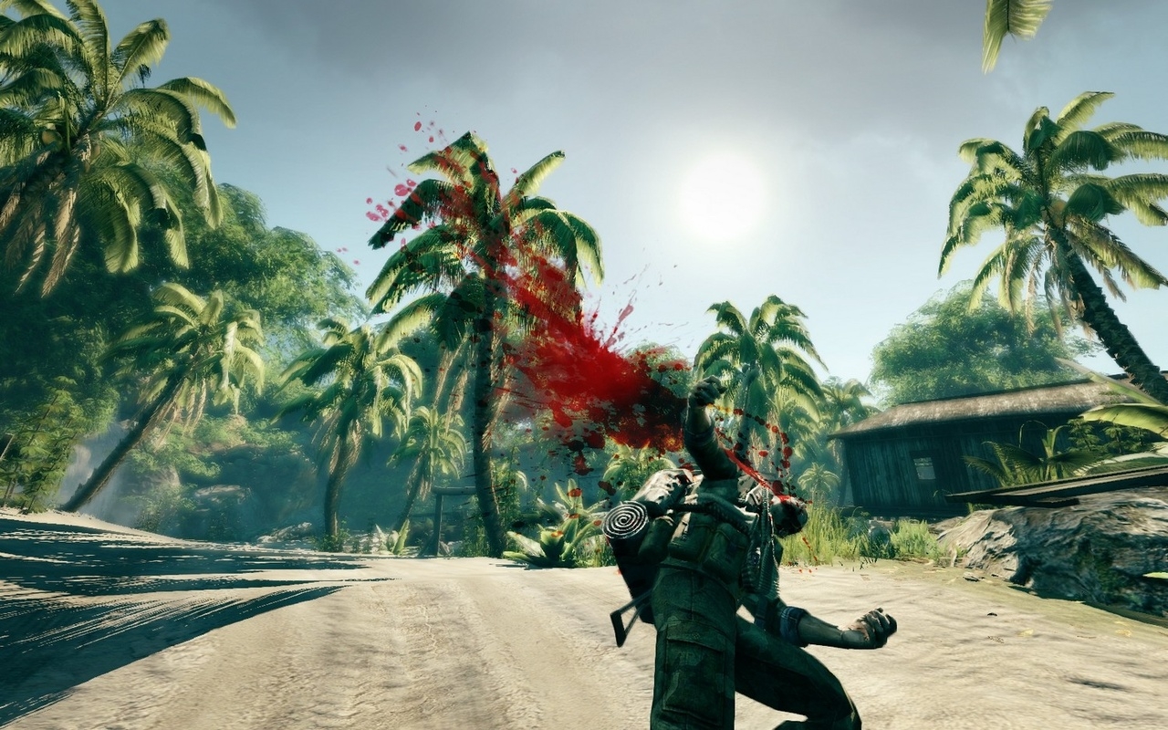 Скриншот из игры Sniper: Ghost Warrior под номером 6