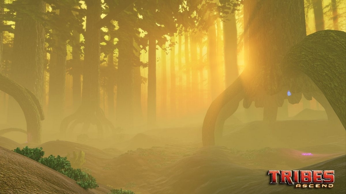 Скриншот из игры Tribes: Ascend под номером 19