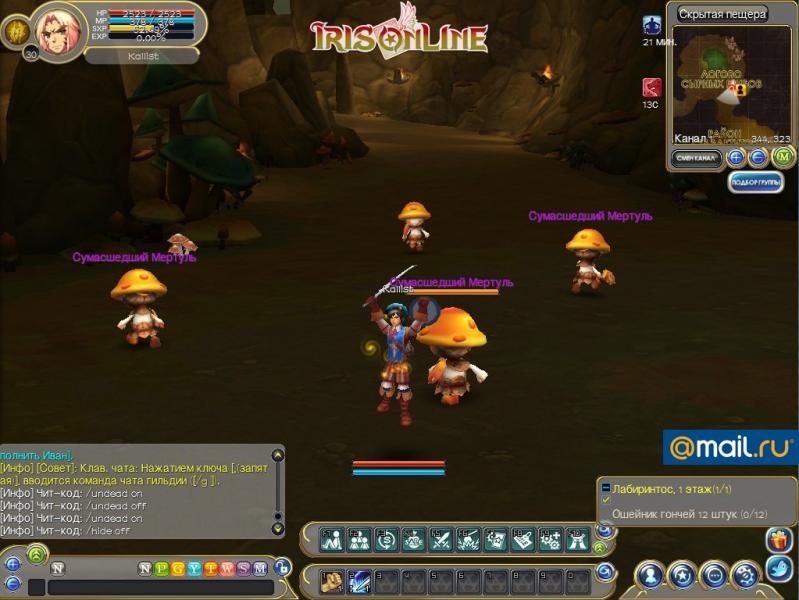 Скриншот из игры Iris Online под номером 3