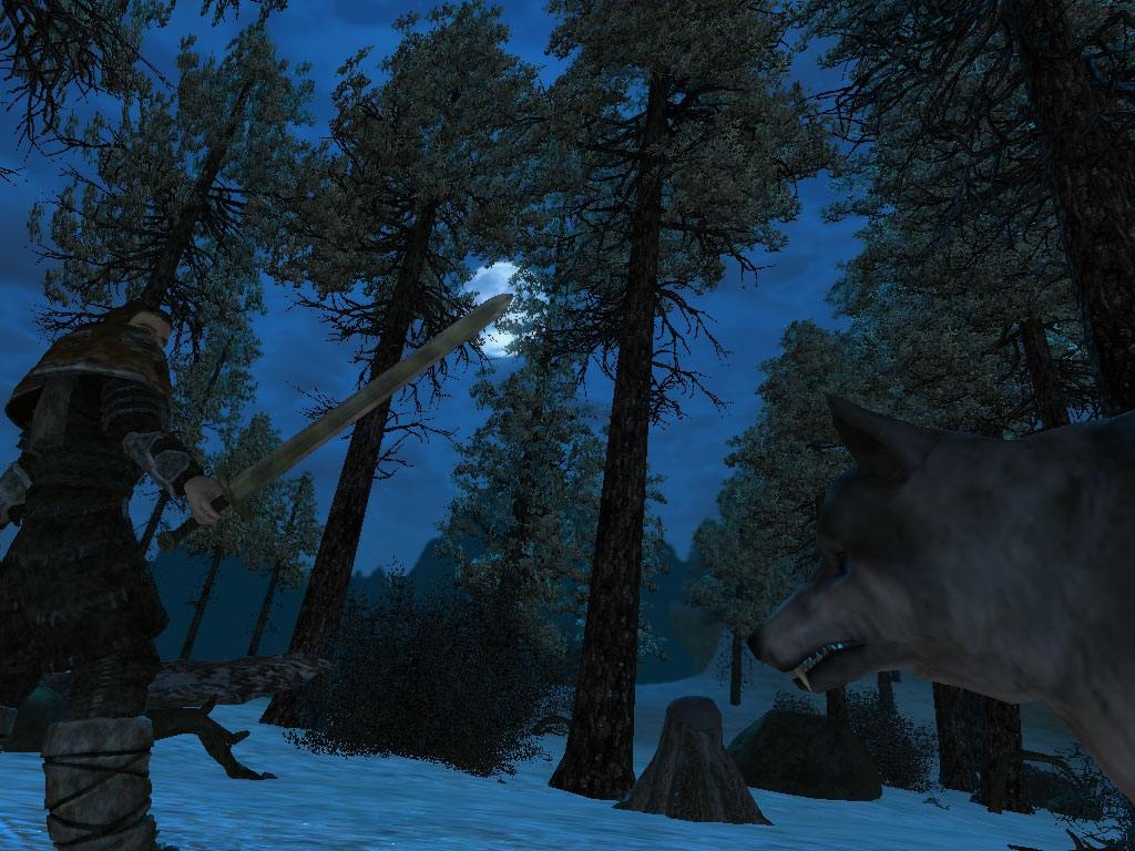 Скриншот из игры Gothic 3 под номером 4