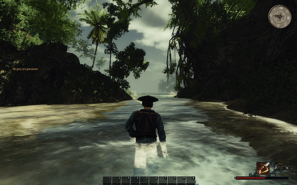 Скриншот из игры Risen 2: Dark Waters под номером 21