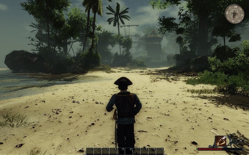 Скриншот из игры Risen 2: Dark Waters под номером 22