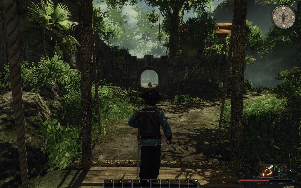 Скриншот из игры Risen 2: Dark Waters под номером 23