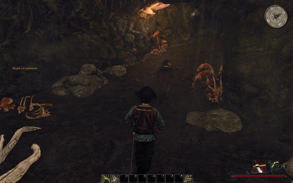 Скриншот из игры Risen 2: Dark Waters под номером 24