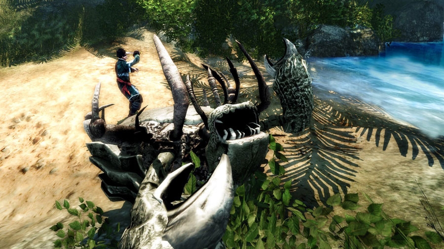 Скриншот из игры Risen 2: Dark Waters под номером 3