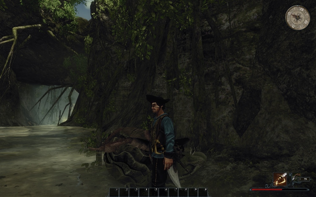 Скриншот из игры Risen 2: Dark Waters под номером 40