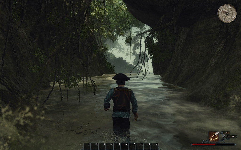Скриншот из игры Risen 2: Dark Waters под номером 41