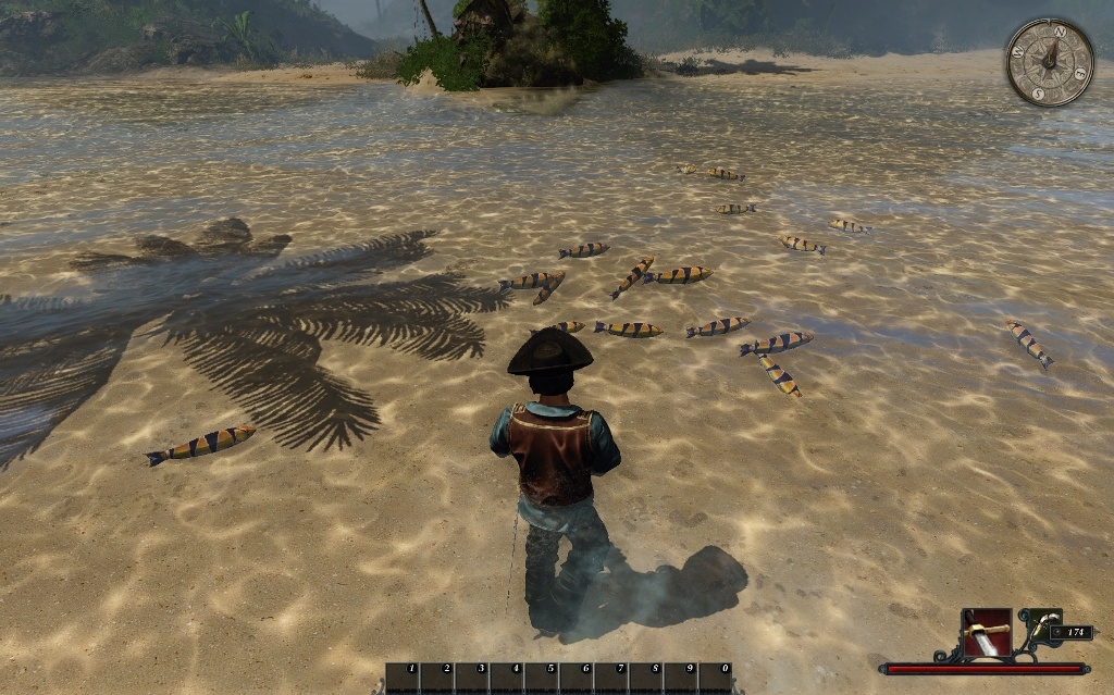 Скриншот из игры Risen 2: Dark Waters под номером 42