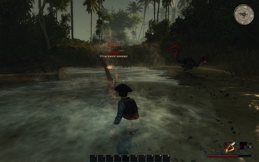 Скриншот из игры Risen 2: Dark Waters под номером 60