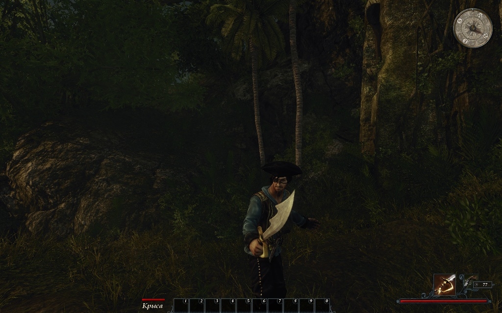 Скриншот из игры Risen 2: Dark Waters под номером 66