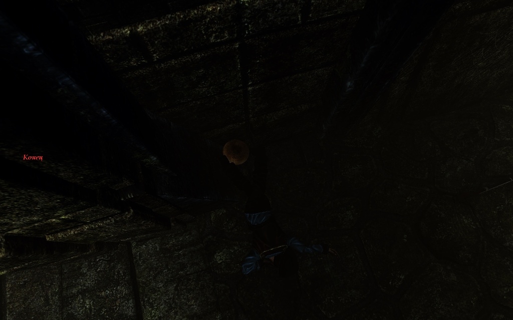 Скриншот из игры Risen 2: Dark Waters под номером 67
